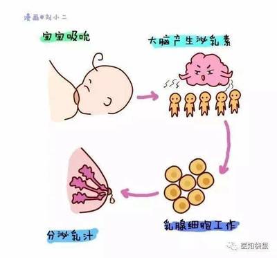 新生儿肠道出血