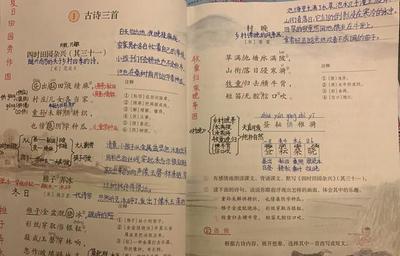 四年级孩子的作业都不会教怎么办