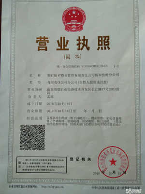 子公司营业执照图片