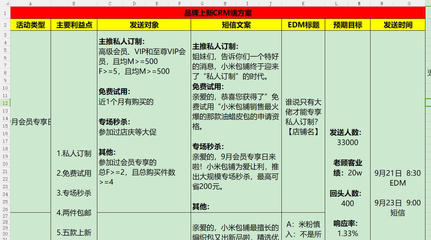 公司策略怎么写