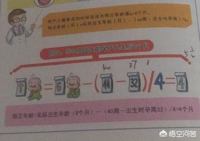 几个月开始辅食