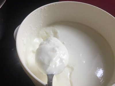 各种酸奶的区别和制作方法
