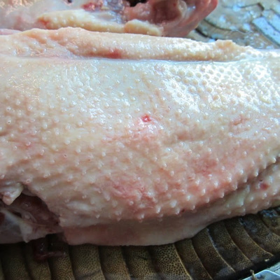 感冒咳嗽能吃鹅肉吗