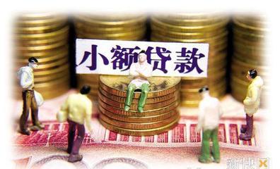 小额金融贷款公司