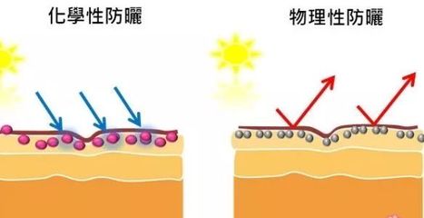 皮肤美白的原理