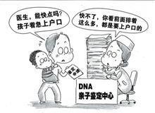亲子鉴定要