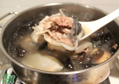 孕妇能喝甲鱼汤吗