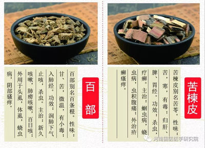 治疗咳嗽的中药配方