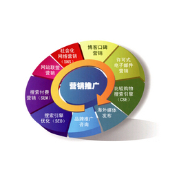 如皋网络公司,智讯网络科技,做推广网络公司