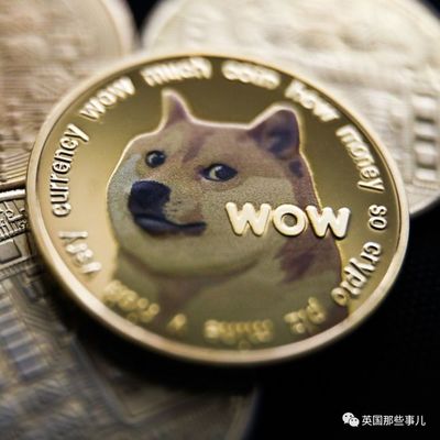 狗狗币大涨多少? dogeking涨了多