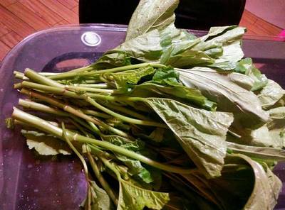 树菜孕妇可以吃吗