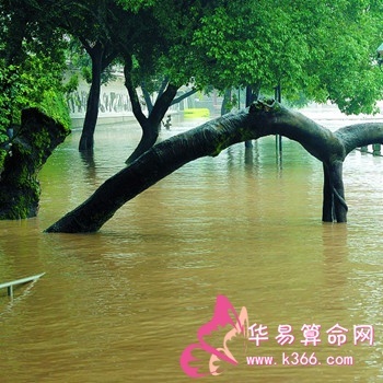 周公解梦河水上涨