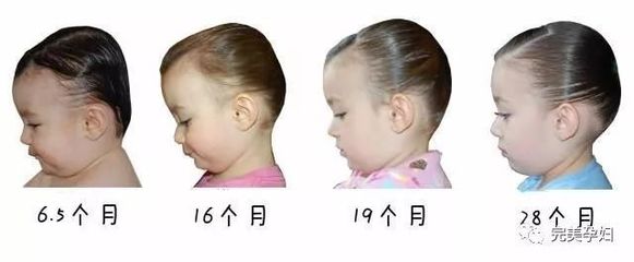 19个月宝宝发育标准