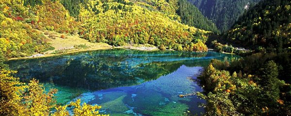 澳门沙龙影艺会办公地址新版本界面概览
