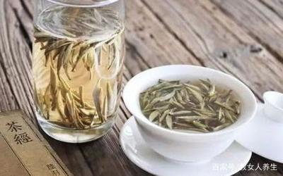 哪些人不适合喝白茶