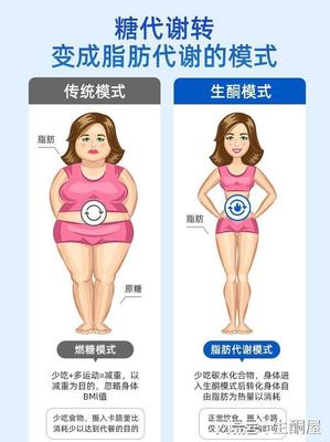 减肥一天摄入多少脂肪
