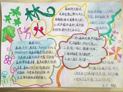 适合小学生的英文名