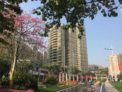 碧桂园楼盘怎么样