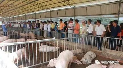 办养殖场需要哪些手续