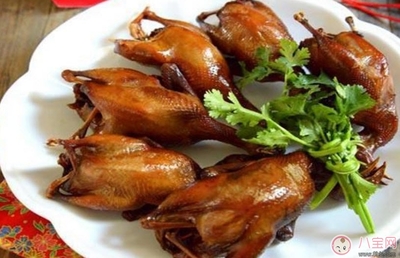 孕妇能吃鹌鹑肉