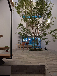 室内庭院景观设计