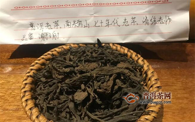 河北茶叶