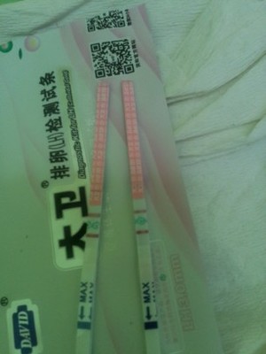 怀孕几个月能测出来