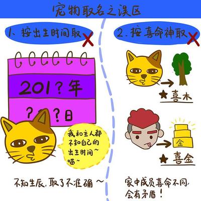 十六楼五行属什么