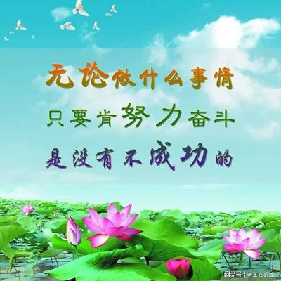 环境决定命运