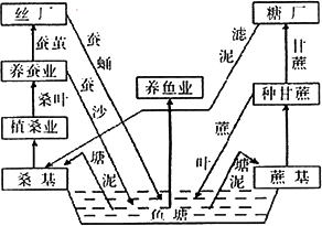 基塘农业是什么类型的农业