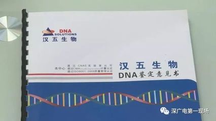 华大亲子鉴定