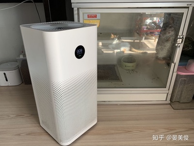 厨房净化器能消味道吗