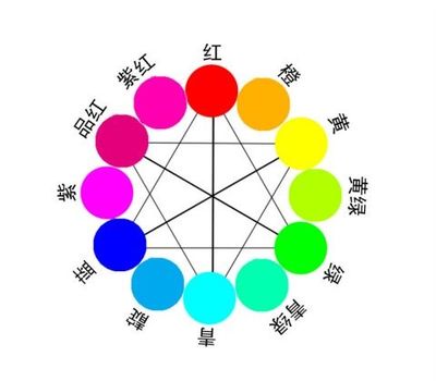 芸字的五行属性