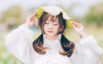 11月初星座