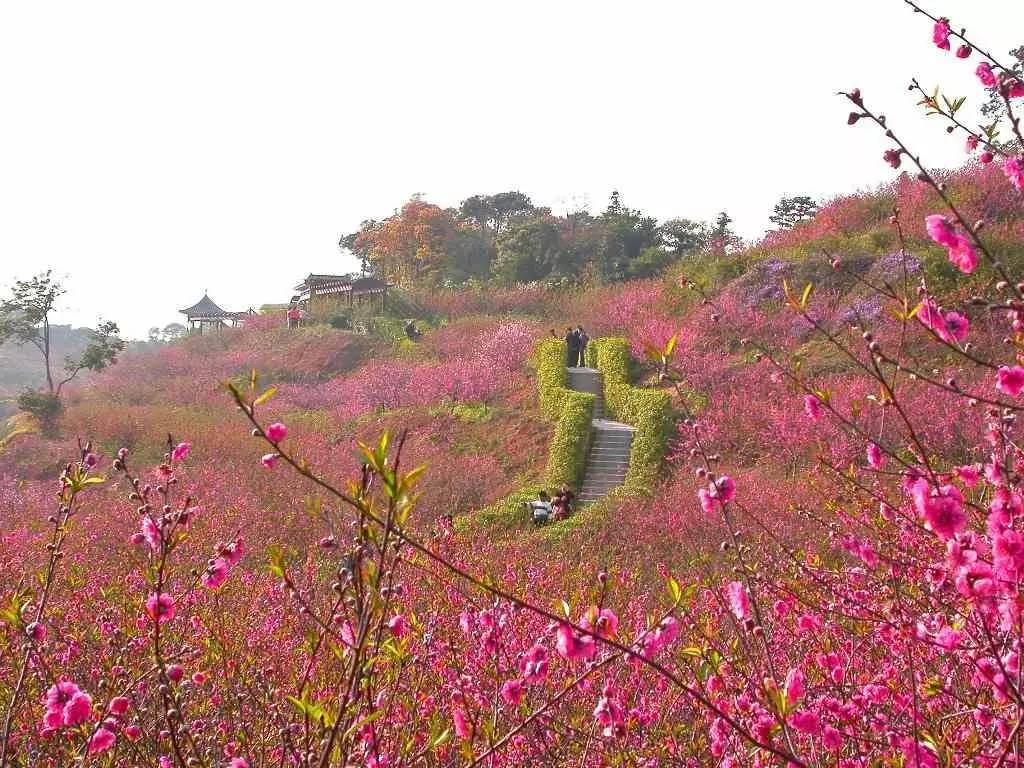 西樵山旅游攻略