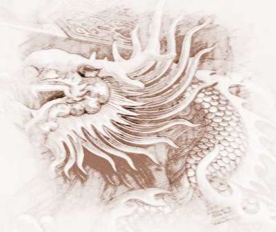 生肖龙起名宜忌