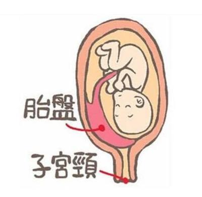 为什么胎儿会缺氧