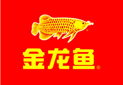 金龍魚什么時候開始發(fā)色好（金龍魚什么時候開始發(fā)色好的）