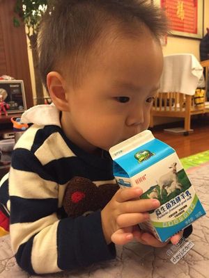 孕妇喝羊奶好吗
