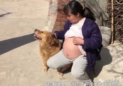 坐在肚子上的主人