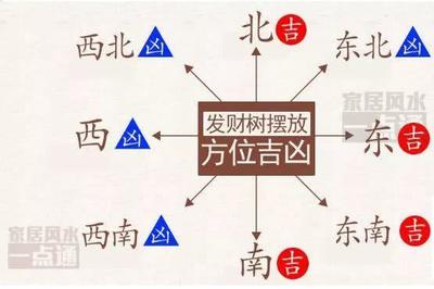进字五行属什么
