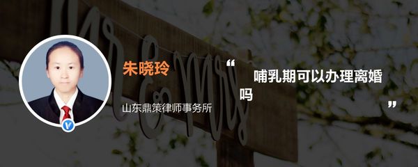 哺乳期可以办理离婚吗