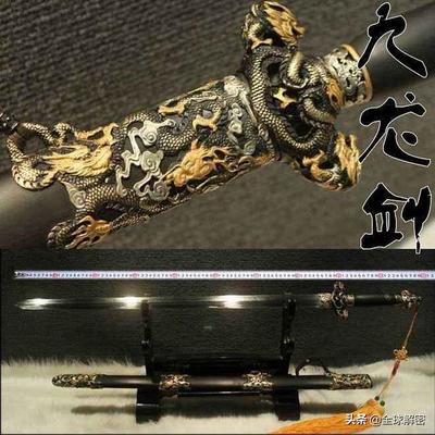 鲨鱼的寓意和象征