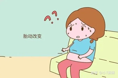 孕妇如何数胎动