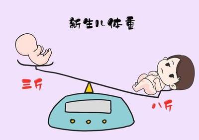 新生儿概念