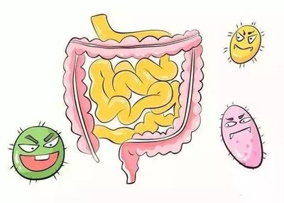 拉肚子不消化怎么回事