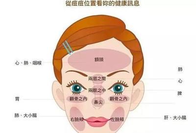 痘痘位置与健康