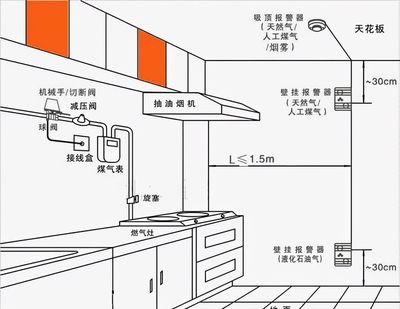 厨房平面设计图 开放式厨房平