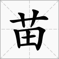 用苗字取名