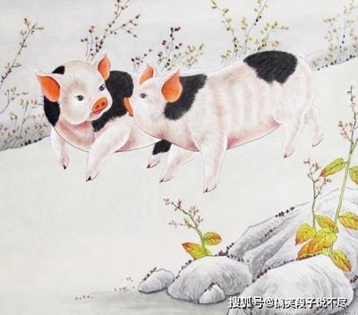 属马的今天运气
